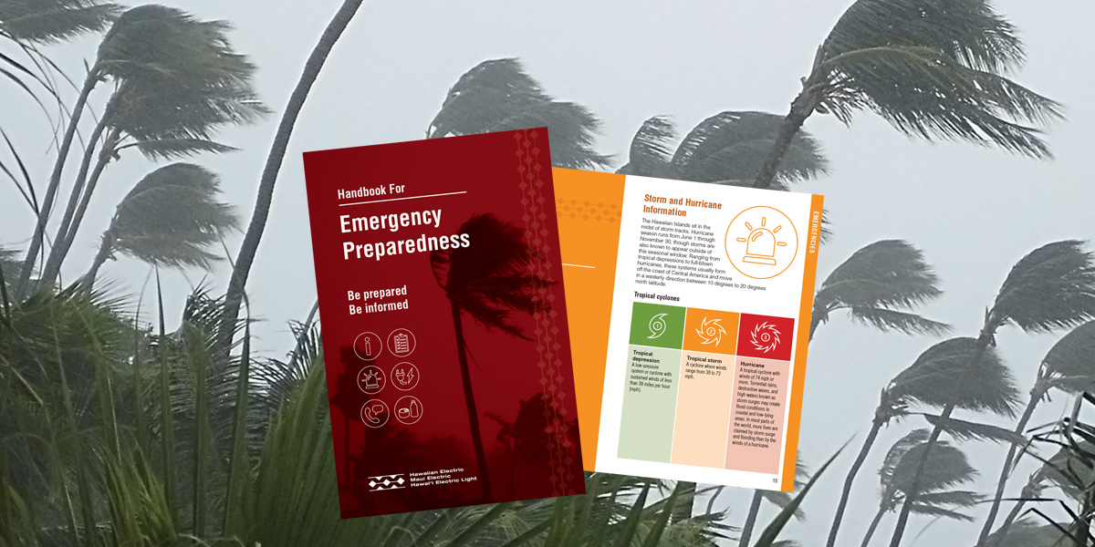 Emergency Preparedness Handbook