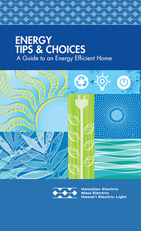 Download Our Energy Tips & Choices PDF